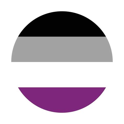 Asexual Pride Flag International Asexual Pride Flag 24100473 Vector