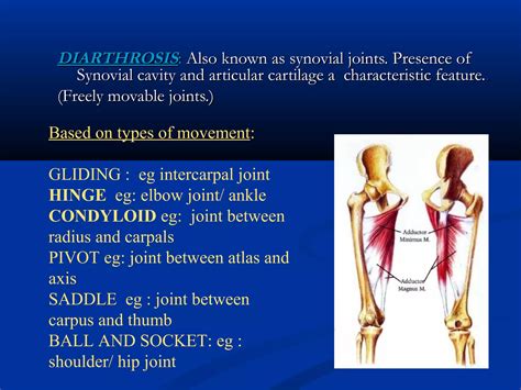 Temporomandibular Joint Development And Anatomy Ppt