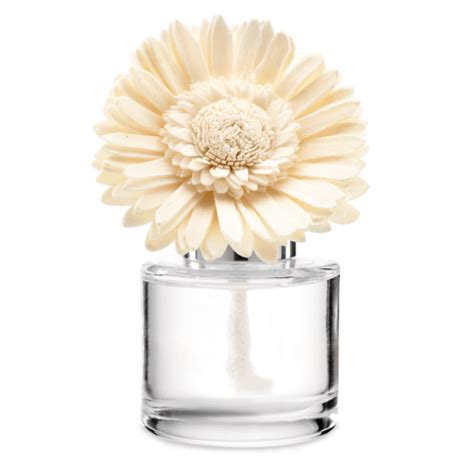 Autumn Road Trip Fragrance Flower Dainty Daisy Scentsy Online Store