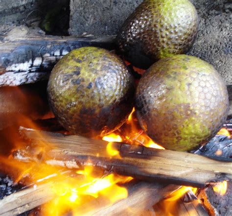 Roast Breadfruit