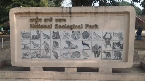 Exploring The National Zoological Park In Delhi