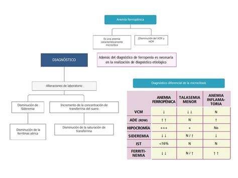 Diagn Stico De Anemia Ferrop Nica Maryuri Lisbeth Udocz