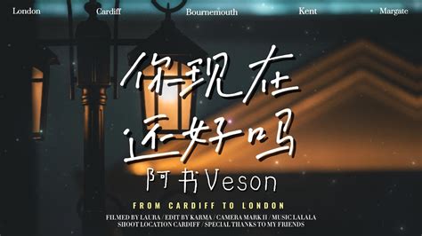 阿書veson 你現在還好嗎「你現在應該過的還不錯吧，是不是他比我更適合帶回家」【動態歌詞】♫♫ Youtube