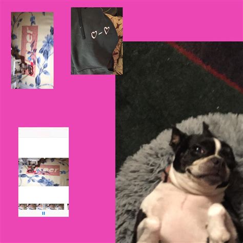 Fuck Sex Single Album By Sipper Apple Music
