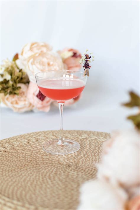 Campari Gin Sour (Gin Cocktail) - The Perfect Recipe