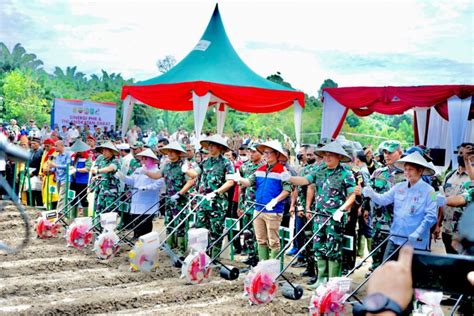 Dukung Ketahanan Pangan Nasional Sinergi PHR TNI AD Olah 100 Ha