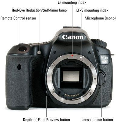 Canon Eos 90d For Dummies Cheat Sheet Artofit