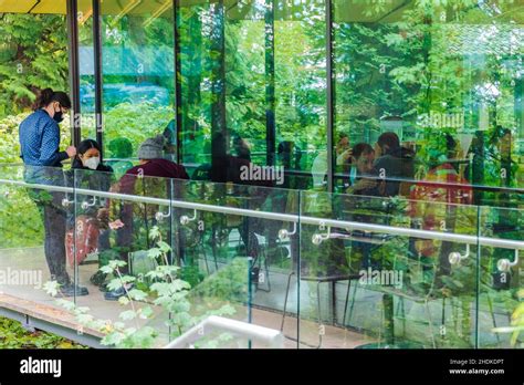 Tourists visit the Japanese Tea House; Portland Japanese Gardens ...