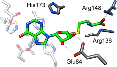 Structure-Guided Discovery of New Deaminase Enzymes