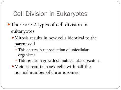 Chapter 10 Cell Growth And Division Ppt Download