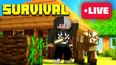 Live De Minecraft Bedrock Ao Vivo Jogando No Meu Meu Mundo Survival