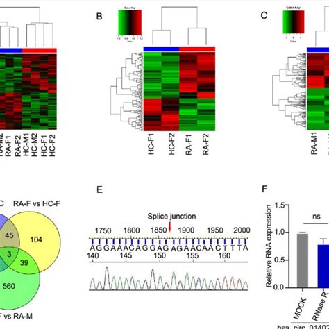 RNA Sequencing Analysis Determined The CircRNAs Expression Profiles And