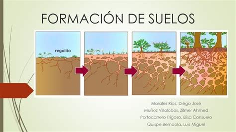 Formaci N De Suelos Ciencias Sociales Udocz