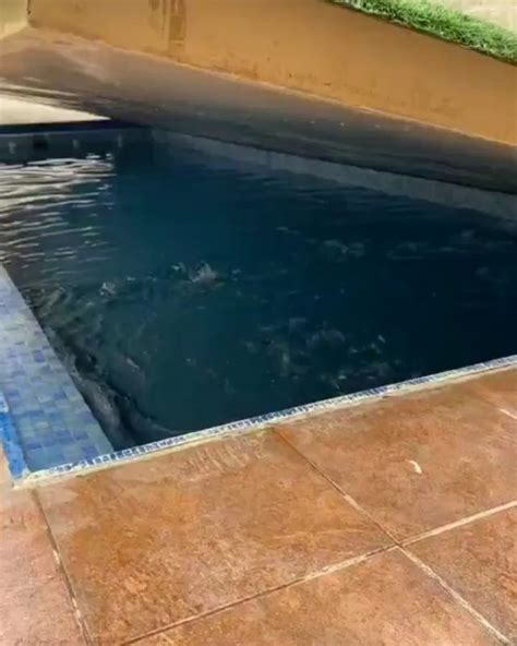 Mário Ejota on Instagram O que achou dessa piscina gramado