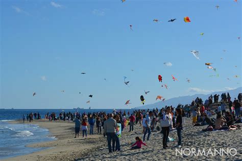 Emozioni a naso in sù le foto più belle del Festival degli Aquiloni di