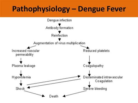 Dengue Hemorrhagic Fever Symptoms