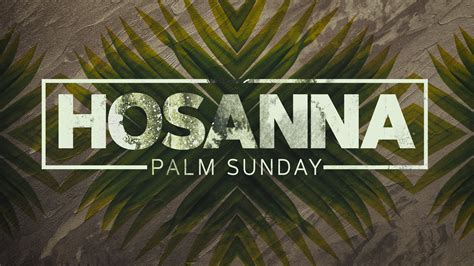 Hosanna (Palm Sunday) Graphic Pack