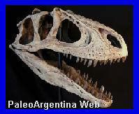 Universidades y Facultades: Donde Estudiar la Carrera de Paleontología