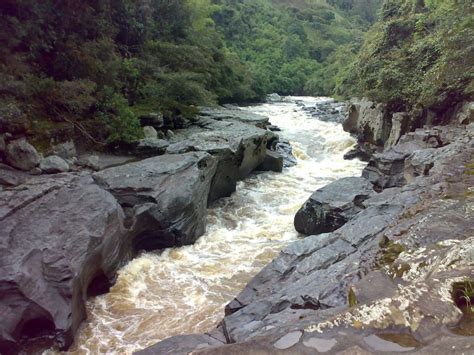 RÍO MAGDALENA TODO ACERCA DE ESTE RÍO COLOMBIANO