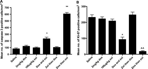 Doxorubicin Hydrochloride