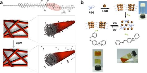 Fig Ure Examples Of Light Responsive Supramolecular Materials A