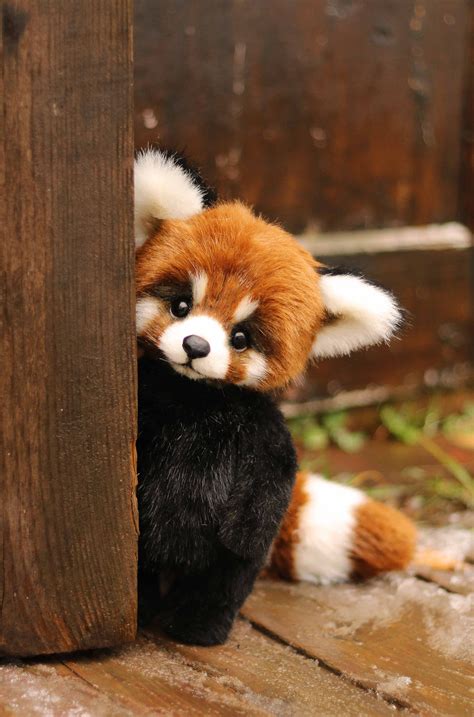 Baby Red Panda Stuffed Animal Ubicaciondepersonascdmxgobmx