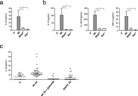 Nlrp3 Inflammasome Is Involved In E Histolytica Induced Inflammatory Download Scientific