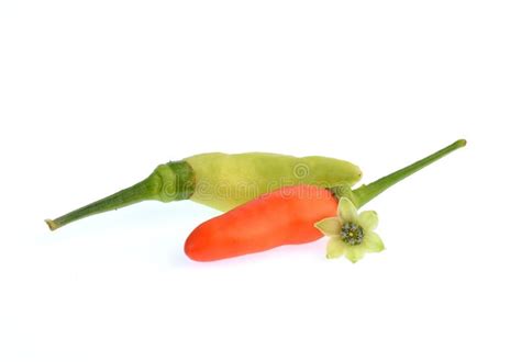 Hot Chili Peppers Isolated On A White Background Stock Image Image Of