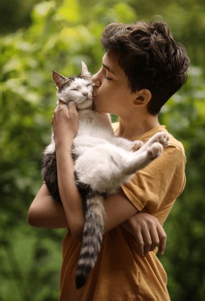 6,229 Boy Holding A Cat Royalty-Free Images, Stock Photos & Pictures ...