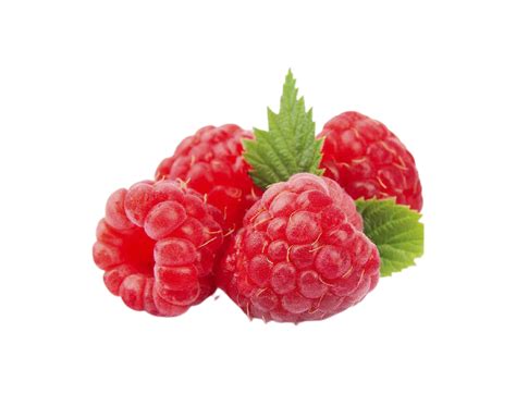 Berry Png Transparent Background 29228805 Png