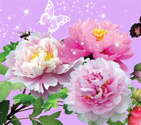 Flowers Animated Wallpaper For Desktop Archives Flower Wallpapers For