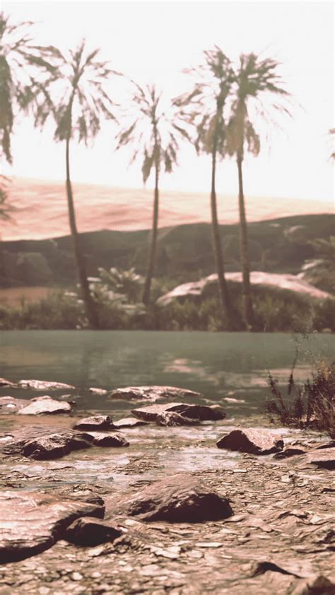 Desert Oasis Pond With Palm Trees And Plants Stock Video At