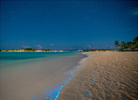 Exploring Naturally Glowing Beach in Maldives - BestCheck