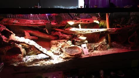 150 Gallon Crabitat Fall 2017 All Things Crabby