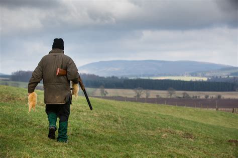 how to get rid of rabbits in yard 4