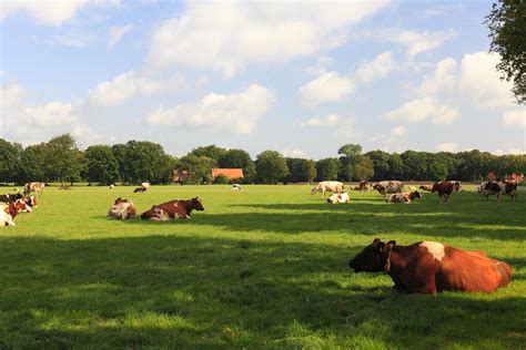 Achterhoek Routen Hinter Der Grenze N Rdliche Route