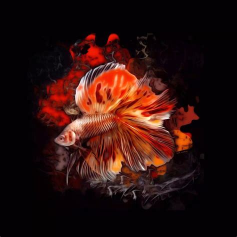 A Bright Betta Fish Digital Art By Scott Wallace Digital Designs