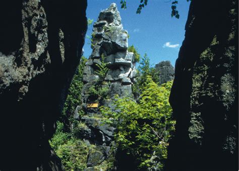 Caves & Caverns - Scenic Caves Nature Adventures - Collingwood