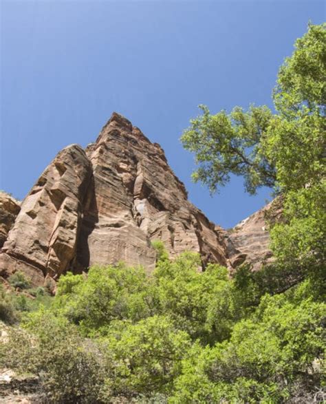 Rock Climbing Zion National Park - Guided Tours | 57hours