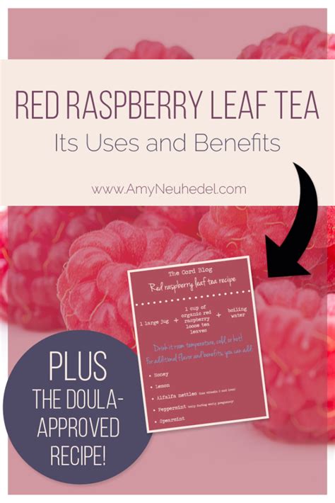 Red raspberry leaf tea: The recipe, uses, and benefits