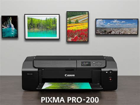 Mua Canon PIXMA PRO-200 Wireless Professional Inkjet Photo Printer trên ...