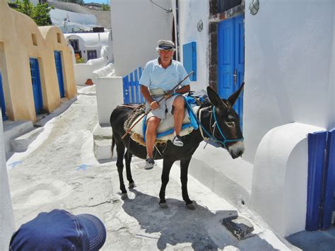 Donkey riding, Finikia | Santorini, Riding, Oia