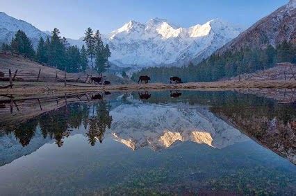 Nanga Parbat Naked Mountain Pakistan