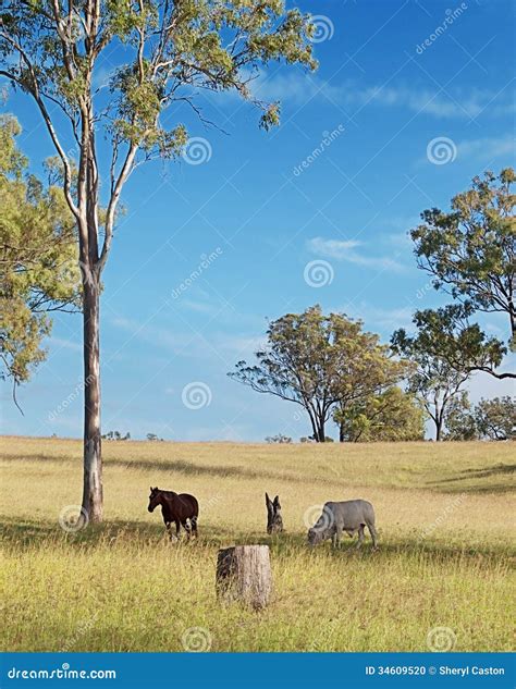 Australian Rural Landscape View Stock Photo - Image: 34609520