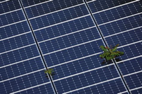 Worlds Largest Solar Farm To Rise In Philippines