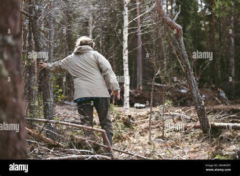 Pflanzenleben Im Wald Fotos Und Bildmaterial In Hoher Auflösung Alamy