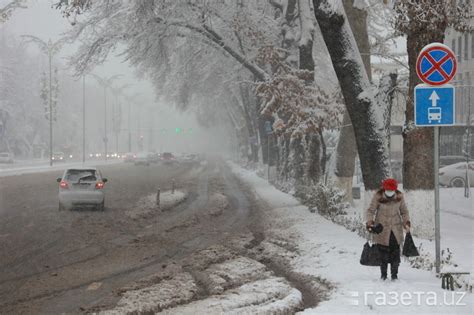 Совуқ ҳаво таъсири 15 январга қадар давом этади — Ўзгидромет ...