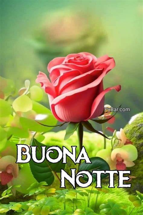 Immagine Di Buonanotte Fotos Gratis Per Whatsapp Pxbar