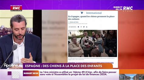 On n a pas osé vous en parler Espagne des chiens à la place des