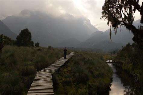 Rwenzori Mountains National Park In Uganda – Tulambule Uganda Safaris